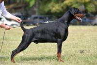 64472991_678738889216094_4806088483196108800_n