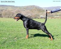 054 (3 years and 3 months)