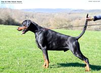 055 (3 years and 3 months)