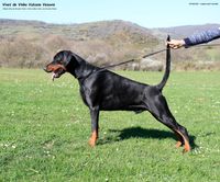 056 (3 years and 3 months)