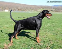 057 (3 years and 3 months)