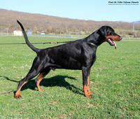 058 (3 years and 3 months)