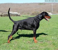 059 (3 years and 3 months)