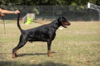 247088343_10226505889454469_8583001896759617264_n