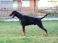 47203303_10205207515624193_2725698327508156416_o