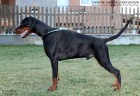 49079380_10205311409261469_8435505190286655488_o