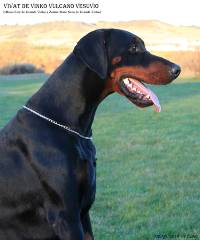 49345024_10205311409141466_1960735570866995200_n