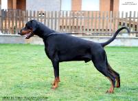 55557224_10205586669942814_901109028036280320_o