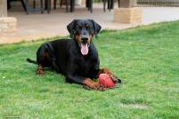 56229314_10205586673542904_7580158441788801024_o