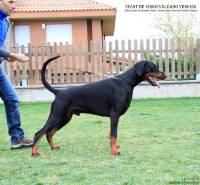 56412449_10205586664502678_8652430845807689728_n