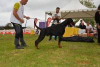 13-VivatdeVinkoVulcano