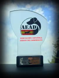 66091664_10205884389665621_9032982360030707712_n