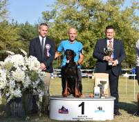 41141713_1883279765086178_733931703826907136_n_1