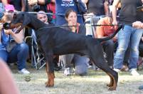 41585528_549281785528809_2622612695723016192_n