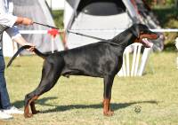 41566216_2256541934577573_5655960054629662720_n