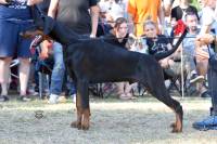 41626297_298833484262008_8333786333059219456_n