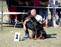 41648600_10155981517239624_189715714850947072_o