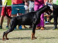 42411170_1889969594415326_4021561751089709056_o-----2