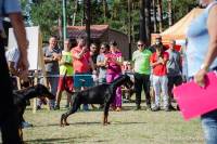 42411170_1889969594415326_4021561751089709056_o