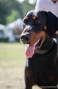 42557731_1889967627748856_6277260961288028160_n