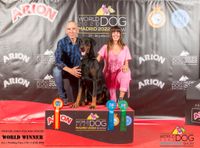 288987146_10209411440279682_8555139008437213440_n_1