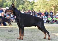 41606966_1235080479967108_7312703277714374656_n