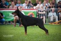 21686923_10214064505587648_8946748970704917130_o