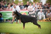 21731495_10214529907867352_4869603066991907160_o