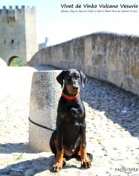 35971276_10204683973055956_943224880340402176_n