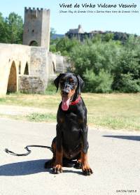 36063757_10204683973895977_258714957166673920_n