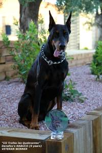 36572340_10204706270813386_2265410298758299648_n